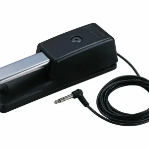 Trygg betalning Roland DP-10