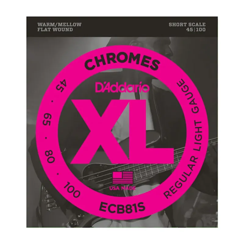 I lager D'Addario ECB81S