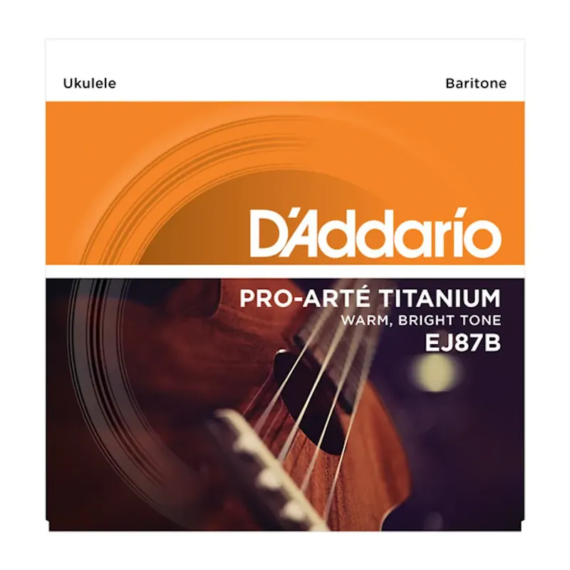 D'Addario EJ87B Expressleverans