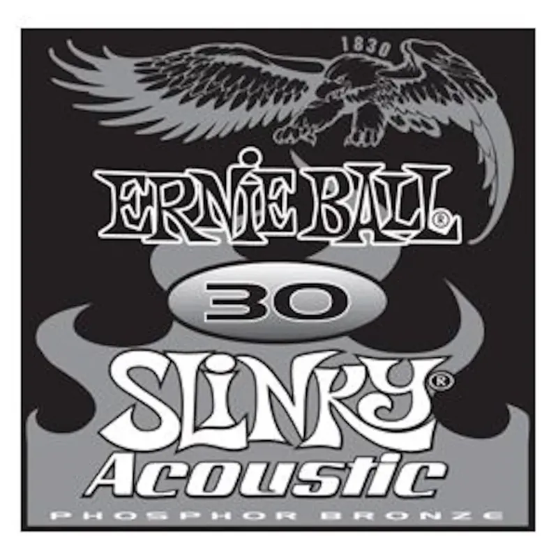 Säker betalning Ernie Ball EB-1830