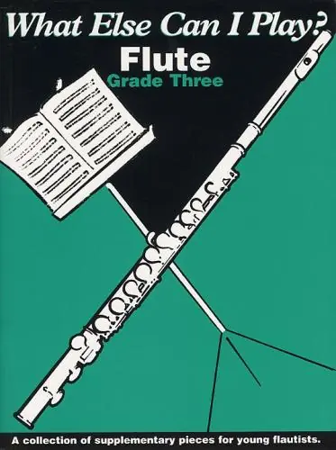 What Else Can I Play? Flute - Grade Three Outlet