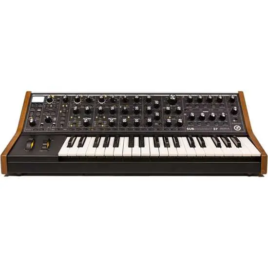 Moog Subsequent 37 Outlet