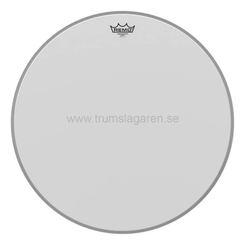 14" Ambassador coated, Remo Endast idag
