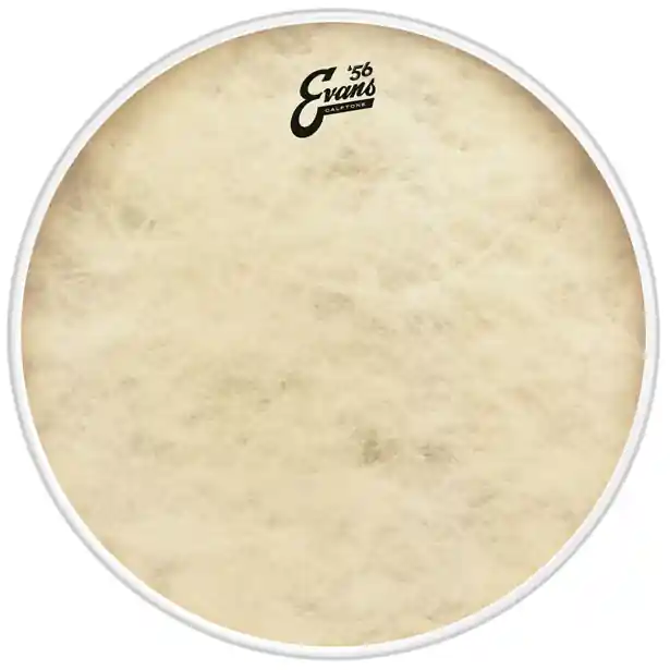 10'' Calftone, Evans risnedsättning