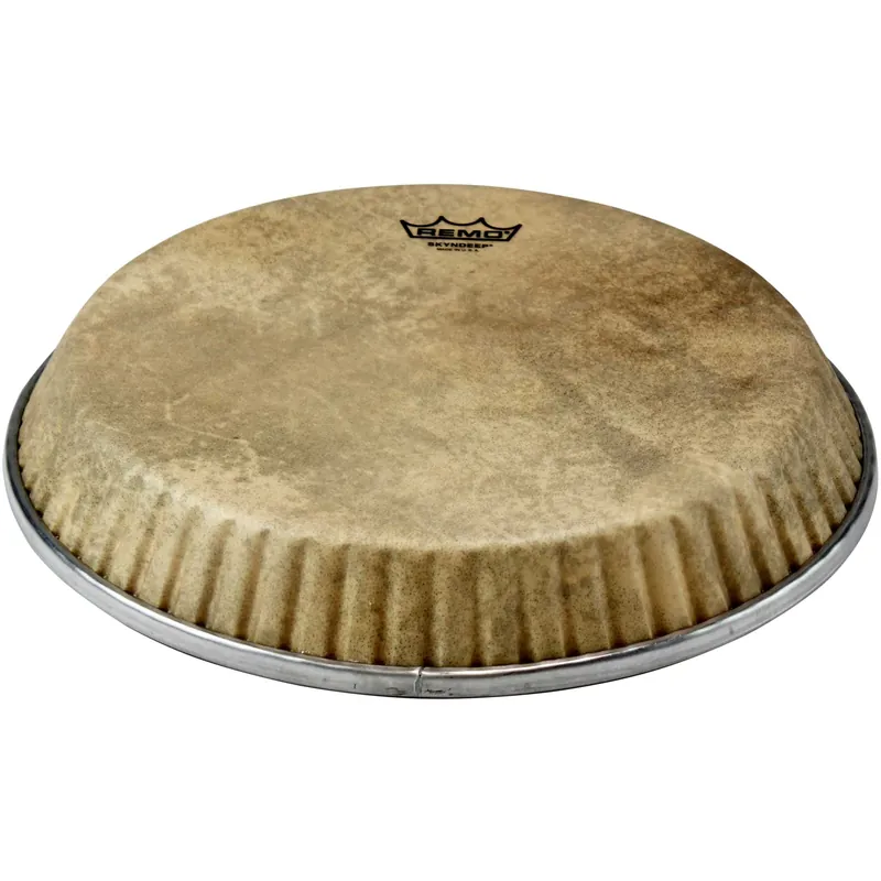 Begränsat antal Remo M4-1175-S6-D4003 Symmetry Skyndeep Calfskin 11.75-inch