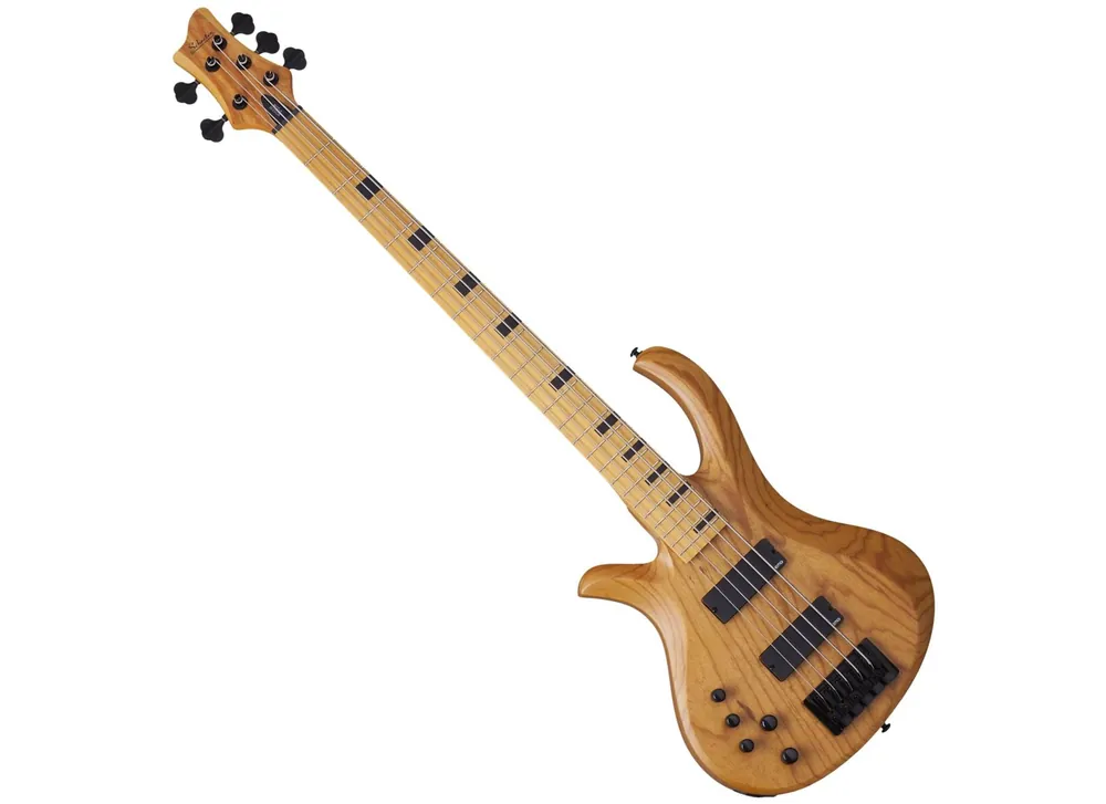 Schecter Riot Session 5 Left Hand ANS risnedsättning