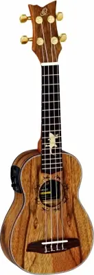 LIZARD-CC-GB Outlet