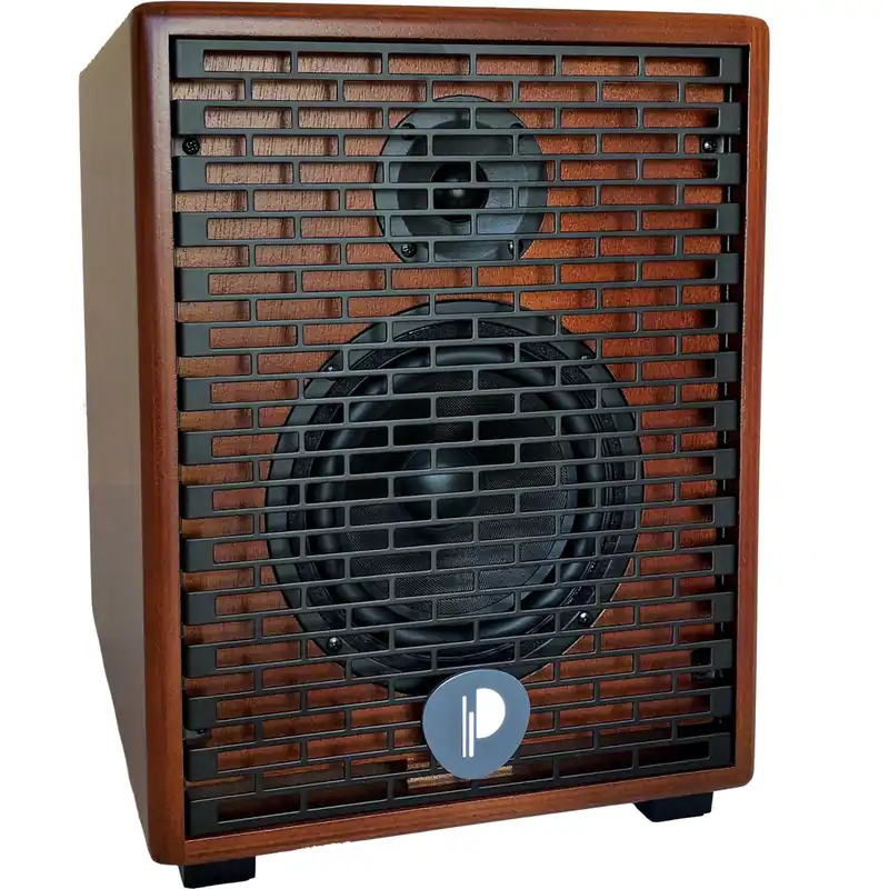 Premium Prodipe Natural 6 Cherrywood Combo Acoustic Guitar Amplifier