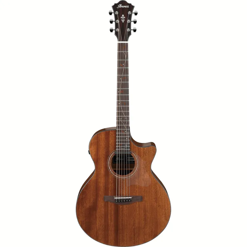 Fynd Ibanez AE295-LGS Natural Low Gloss